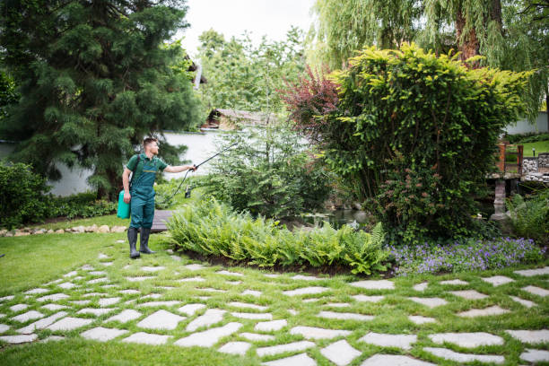 Best Best Pest Control Companies  in Olmos Park, TX