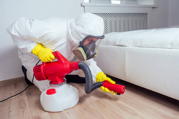Best Mosquito Control Services  in Olmos Park, TX