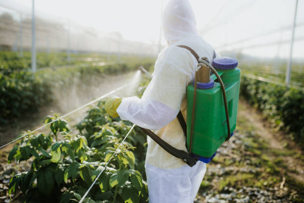 Best Pest Control for Businesses  in Olmos Park, TX